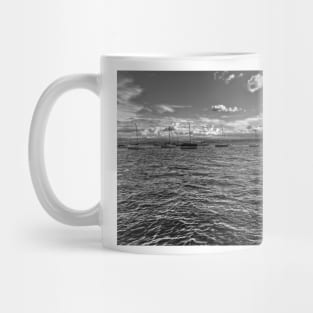 Boats on Lake Constance Mug